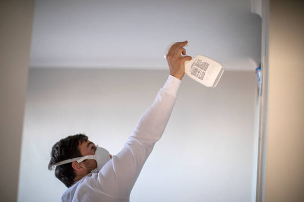 Best Emergency Mold Remediation in Holtville, CA